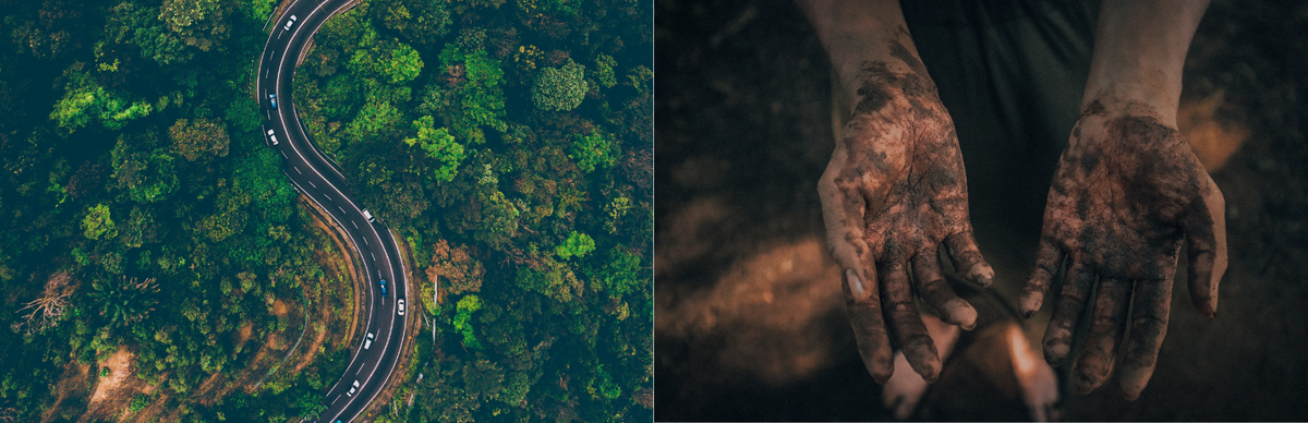Left: aerial view of road thru forest. Right: Muddied hands. Palms up